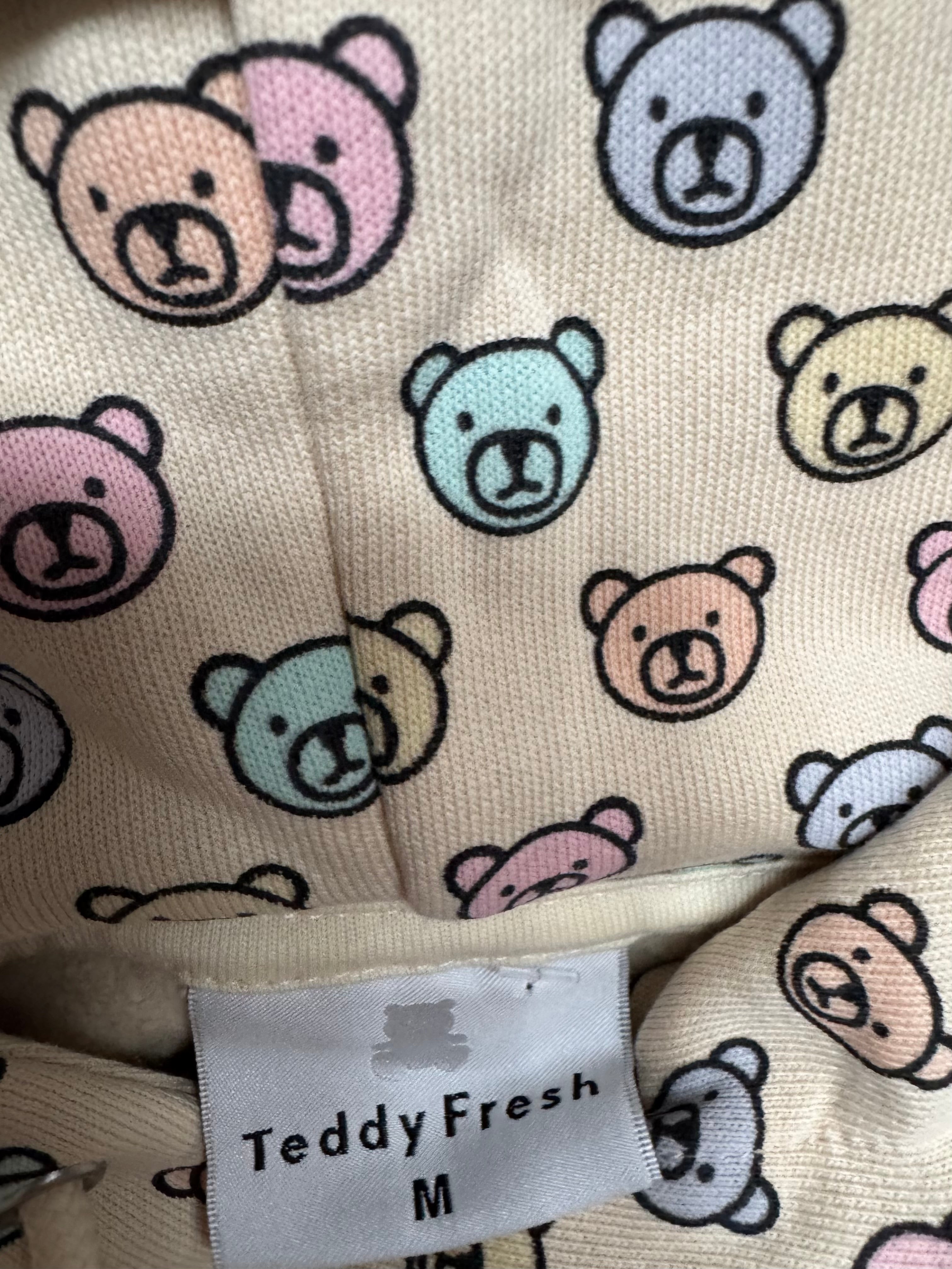 Teddy Fresh Pastel Bear Hoodie Size M Rumors Richmond